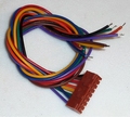 WETRONIC Extra Stekker voor De Ms7/Ms12 / Ms16 Envelop